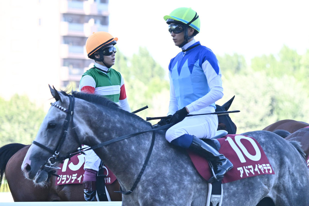 2004年の菊花賞馬デルタブルース死す 岩田康誠＆角居厩舎に初の